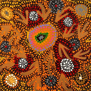 Kershini Napaljarri Collins - 4954/23